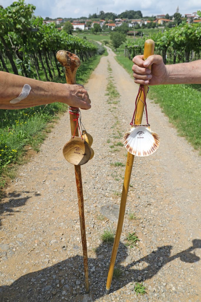 Romarski palici s školjko ob poti skozi vinograde